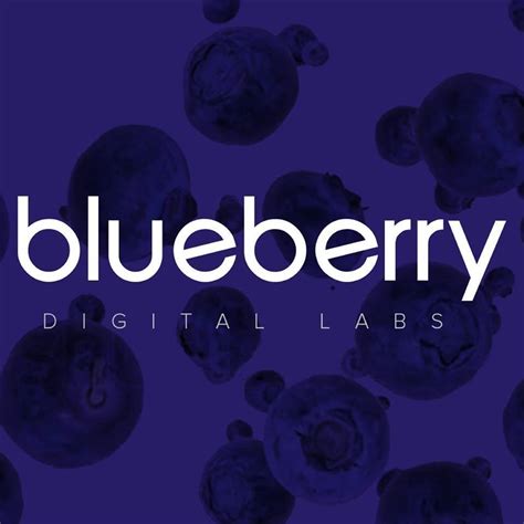 BLUEBERRY DIGITAL LABS PH INC. .
